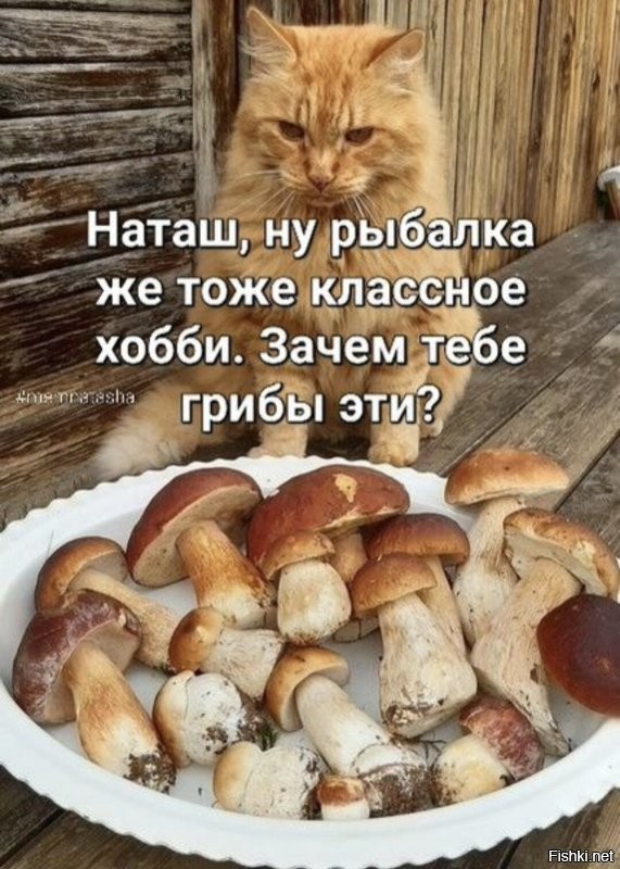 Доброго утра и успешного завершения рабочей недели