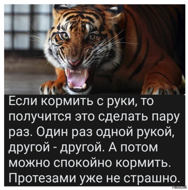 Смешные и доходчивые предупреждения в зоопарке