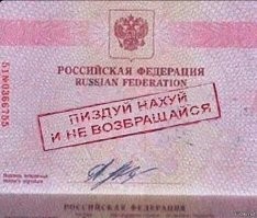 "Я не понял, я по-русски плохо понимаю”: под Волгоградом приезжий попытался дать взятку полиции