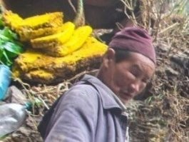 Чувак нарушил технику безопасности и был наказан пчёлами.