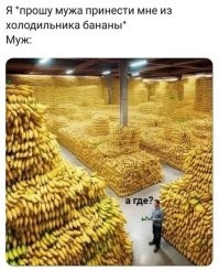 Бытовая слепота или тонкий троллинг: пользователи обсудили инцидент с кашей-невидимкой, но так и не пришли к единому мнению