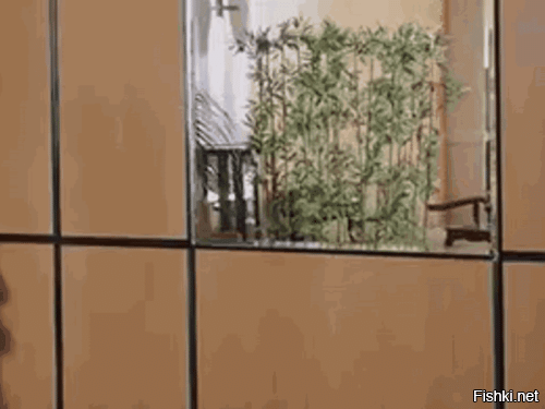 Просто гифки, всякие и&nbsp;разные