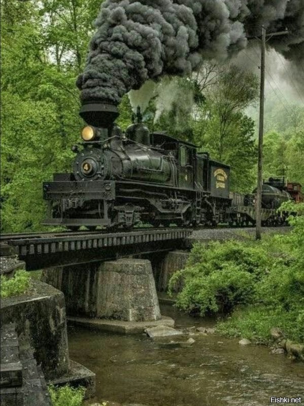 Солянка от 05.10.2025