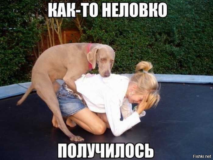 Дама с собачкой.