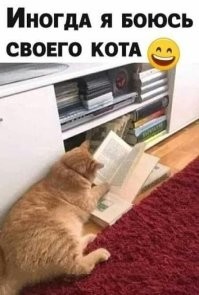 Демотиваторы дня