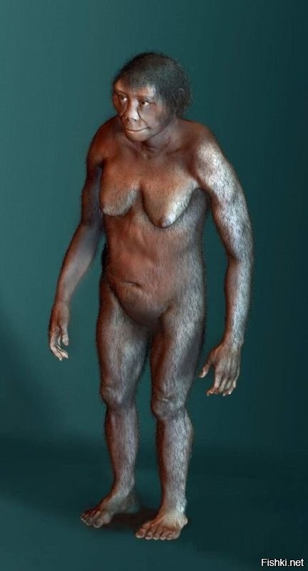 Человек флоресский homo floresiensis