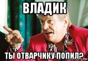 «Сопляк, сам виноват!»: бабушка отчитала мужчину, которого укусила её собака