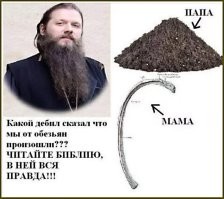 А ведь масса людей на полном серьёзе считает, что предки человека выглядели "несколько" иначе