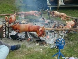 Массовое вторжение кабанов