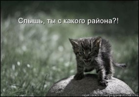 Это просто был ее район!