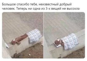 Демотиваторы дня