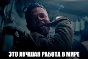 Японский океанариум ведёт круглосуточную трансляцию бассейна с морскими выдрами