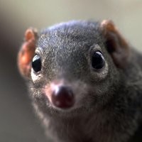 Не давно ученый с дуру решили вырастить особо умных крыс. 
Выяснилось, эволюция бесплатный интеллект уже раздала - остальное платная подписка.
Т.е. умные крысы та умные, только побочкой: алкоголизм, нервность, тревожность, шизофрения и аутизм.
Самое смешное что у людей ровно то же самое.
С неким разделением:
Условно интеллектуалы - гуманитарии (артисты там всяческие, музыканты и т.д.) склонны к алкоголизму  и шизофрении.
Условно интеллектуалы - инженера склонны к алкоголизму и аутизму...
Вот такое вот веселье.
Так что у мужика скорее всего действительно богатый внутренний мир, но одна из личностей при этом жрет как в не в себя водяру... Типо как родственник - тупая.