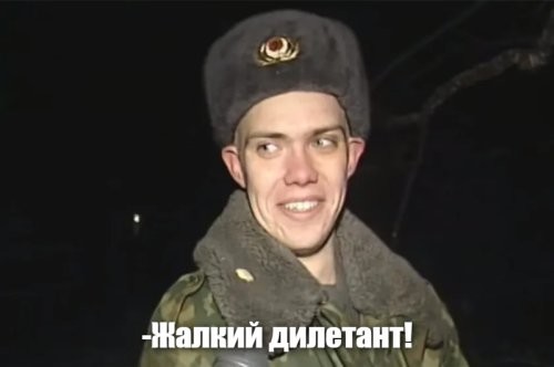 Спасение кота обернулось курьёзом