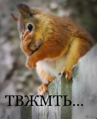 Рамзан Кадыров получил вторую медаль Героя Чечни и открыл новый правительственный комплекс