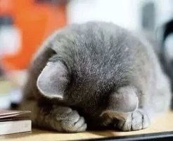 Не ищите здесь смысл. Здесь в основном маразм