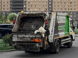 Скрины из соцсетей