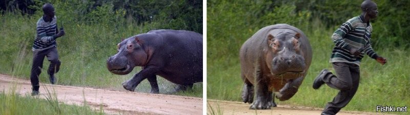 Потом ягодка вырастает и начинает гонять негров)))