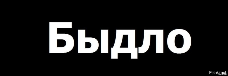 Осень в Люберцах: листья падают, нервы сдают