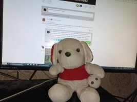 Я работал одно время на мусоровозе, много таких игрушек было на помойках. Себе в кабину брал. Потом тракторист себе в трактор забрал парочку, механик несколько. Когда увольнялся, Жорика себе забрал, в ГАЗели у меня жил какое-то время. Теперь дома живёт после стирки :).