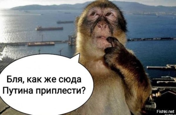 Благодарите сами себя. Рожали бы нормально не потребовались трудовые мигранты своих работников бы хватало. Ах да Путин же то же виноват что не рожаем у вас убогих это загнутый круг.