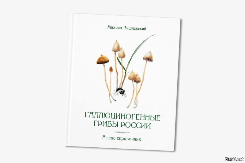 В этом справочнике описаны более 30 видов энтеогенных грибов. Для каждого вида я приведу сведения, максимально облегчающие его распознавание в природе (в том числе фотографии наиболее важных отличительных признаков, при необходимости   внешний вид спор, сравнение с похожими видами грибов и прочее), предпочитаемые местообитания, ареал на территории России, сезонность, активные вещества и тип галлюциногенности, а также существующие варианты ритуального, медицинского и рекреационного использования. Наиболее известные галлюциногенные виды будут описаны более подробно, редкие и малоизвестные   менее подробно или, вообще, в пределах описания своих родственных «старших» собратьев.