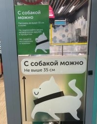 Прямого запрета нет, это отдано на усмотрение администрации магазина. Иное дело, я никогда не понимал и не понимаю, для чего тащить собаку в продуктовый магазин. А я, на минуточку, занимаюсь собаками больше сорока лет.