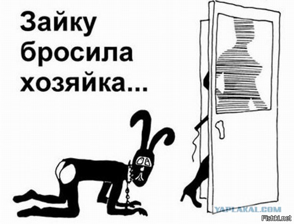 Демотиваторы дня