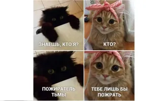 Лесная камера сняла тигра с необычным окрасом