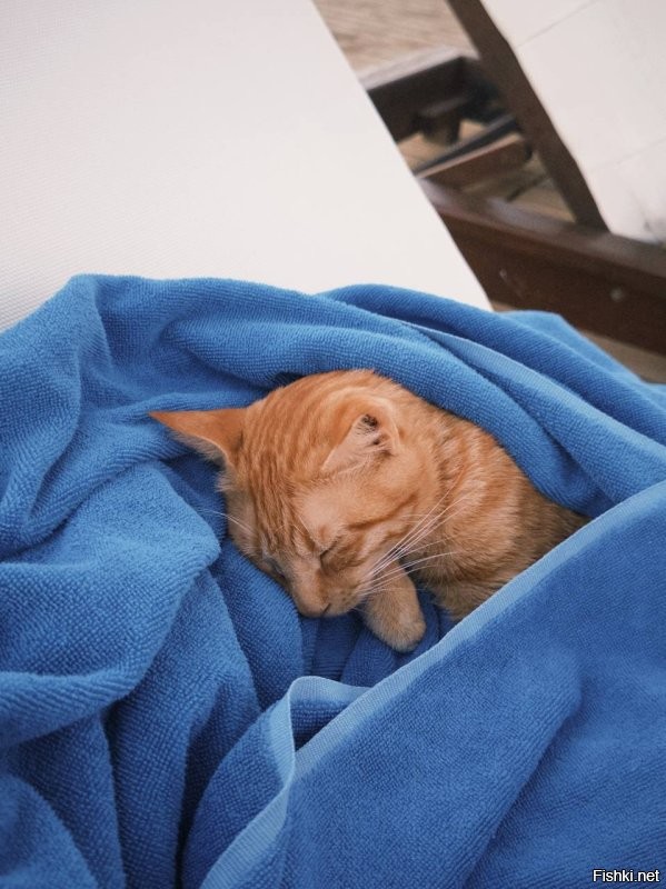 Доброе утро