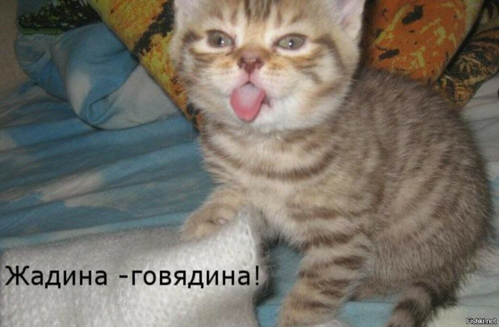Воришка сладостей⁠⁠