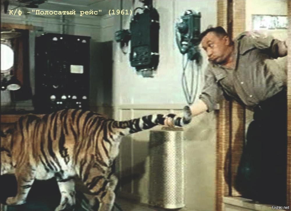 Это разве учения?