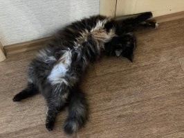 Безмятежность