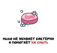Щелочное мыло(хозяйственное) убивает бактерии. А вот парфюмерное только смывает.