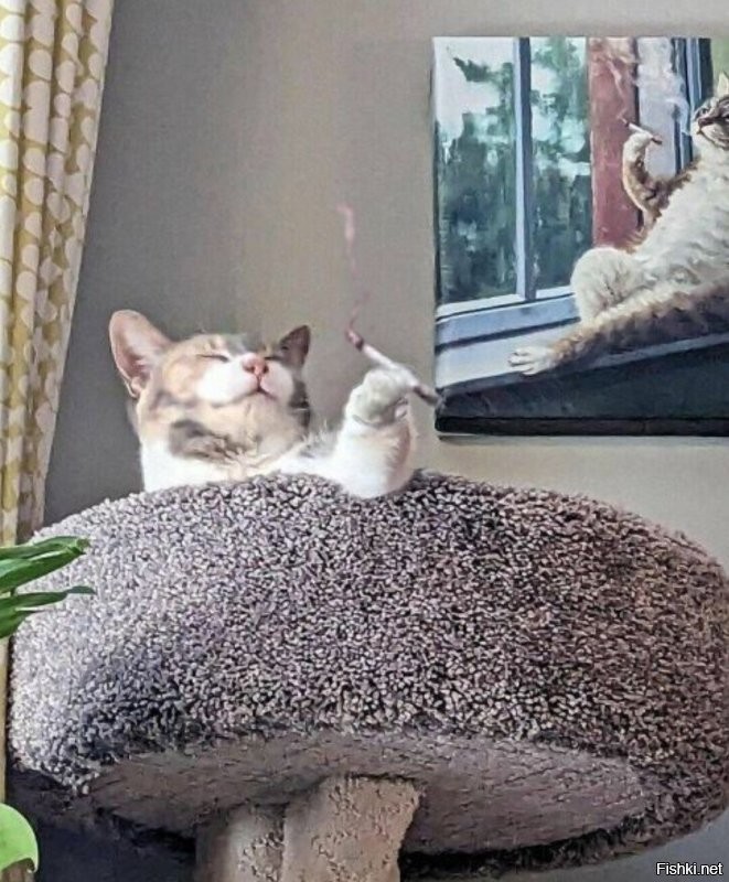 Всё вразнобой&nbsp;