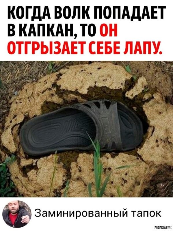 Солянка от 08.10.2025