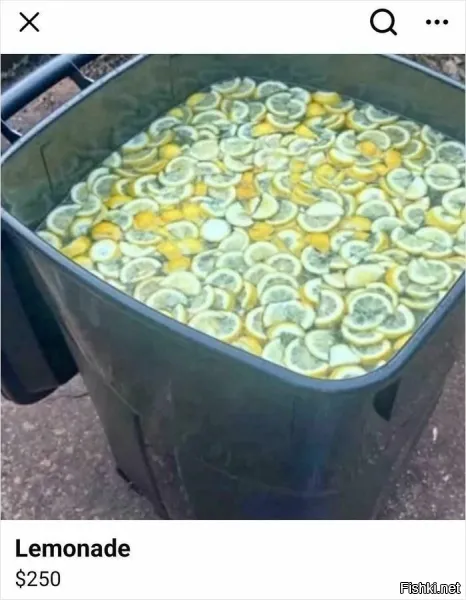 а почему в мусорном баке...