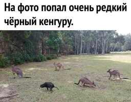 20 кадров, приоткрывающих завесу тайн океанских глубин