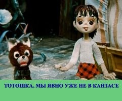 Сильный ветер едва не погубил собаку