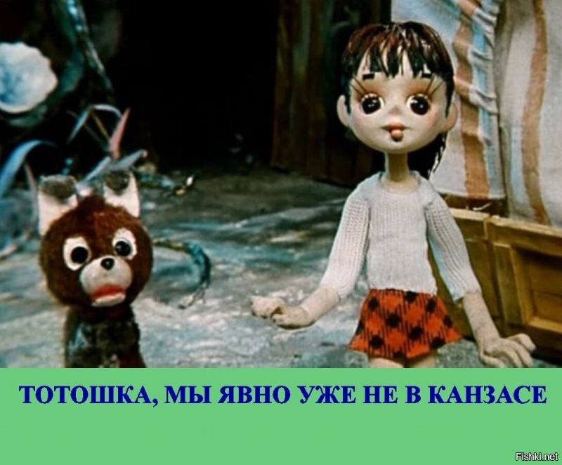 Сильный ветер едва не погубил собаку