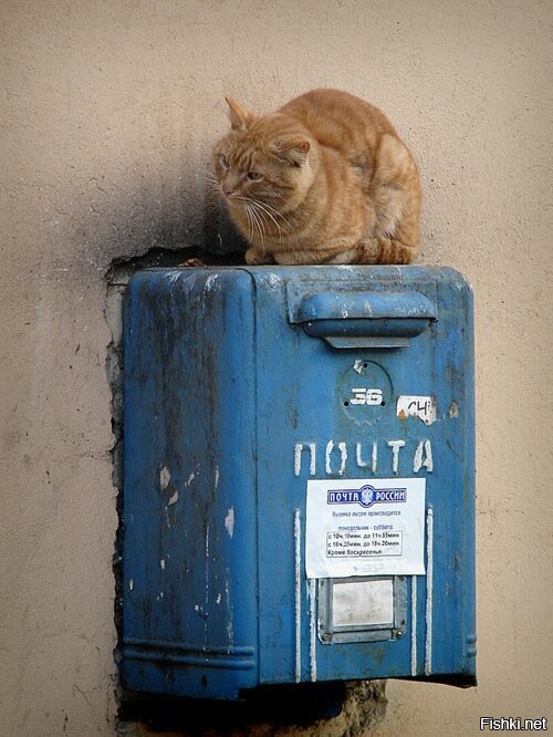 Солянка от 09.10.2025