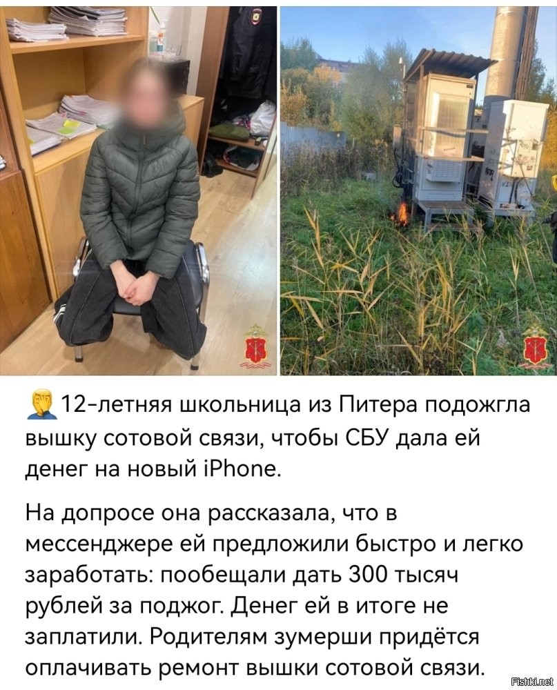 Лишь о политике