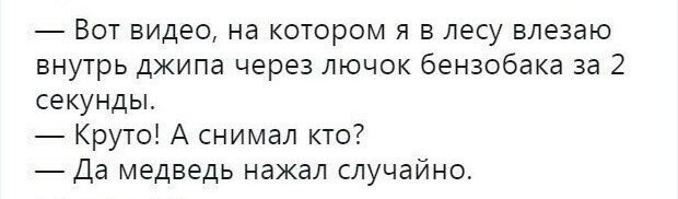 Встреча собаки и медвежьего семейства в лесу