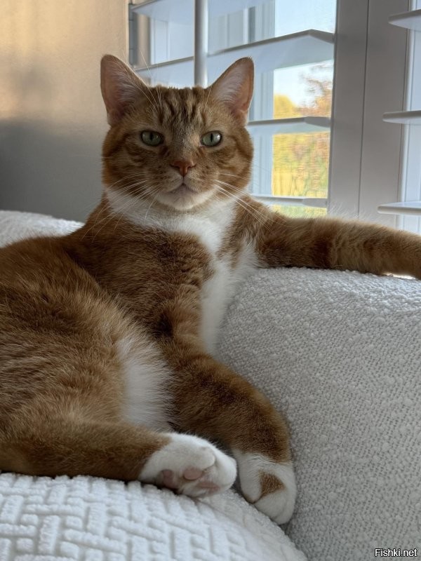 Доброе утро