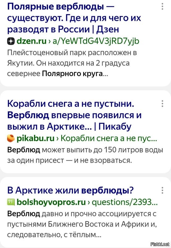 А вы знали, что когда-то в Мурманске жил верблюд?