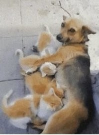 Мама, с большой буквы Мама!