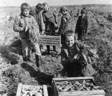 сразу вспоминается молодость...