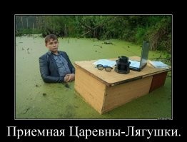Большая миска улыбатора
