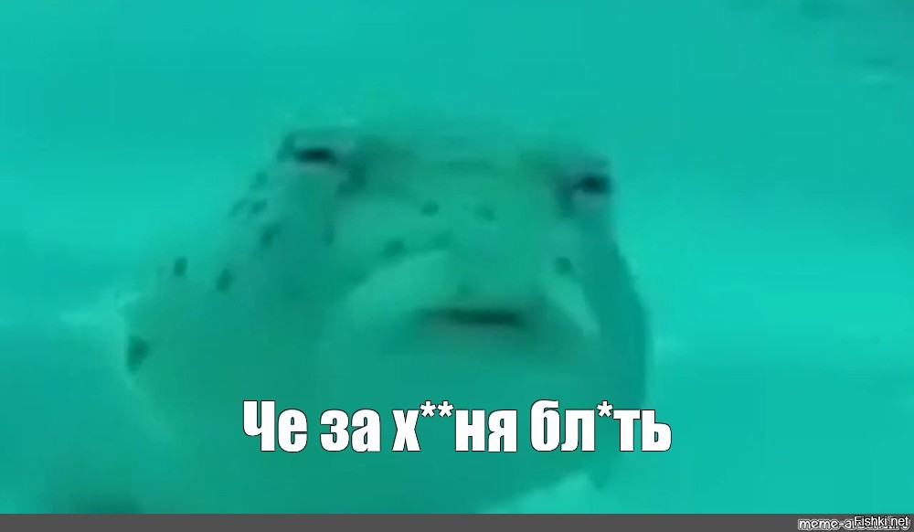 Пиво, которое мало кому захочется попробовать