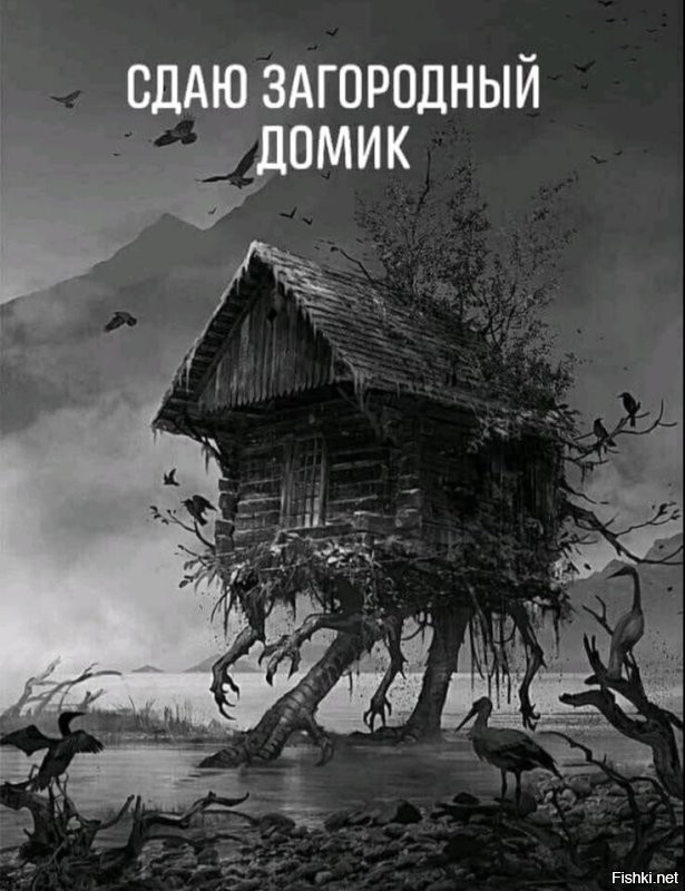 Солянка от 10.10.2025